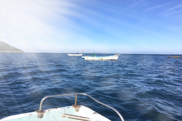 広島で釣り船に乗るなら家族で楽しめる【倖矢丸】