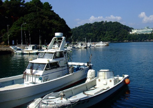 広島で釣り船を満喫するなら「倖矢丸」～家族（子供も乗船可）や個人問わずご利用可能！～